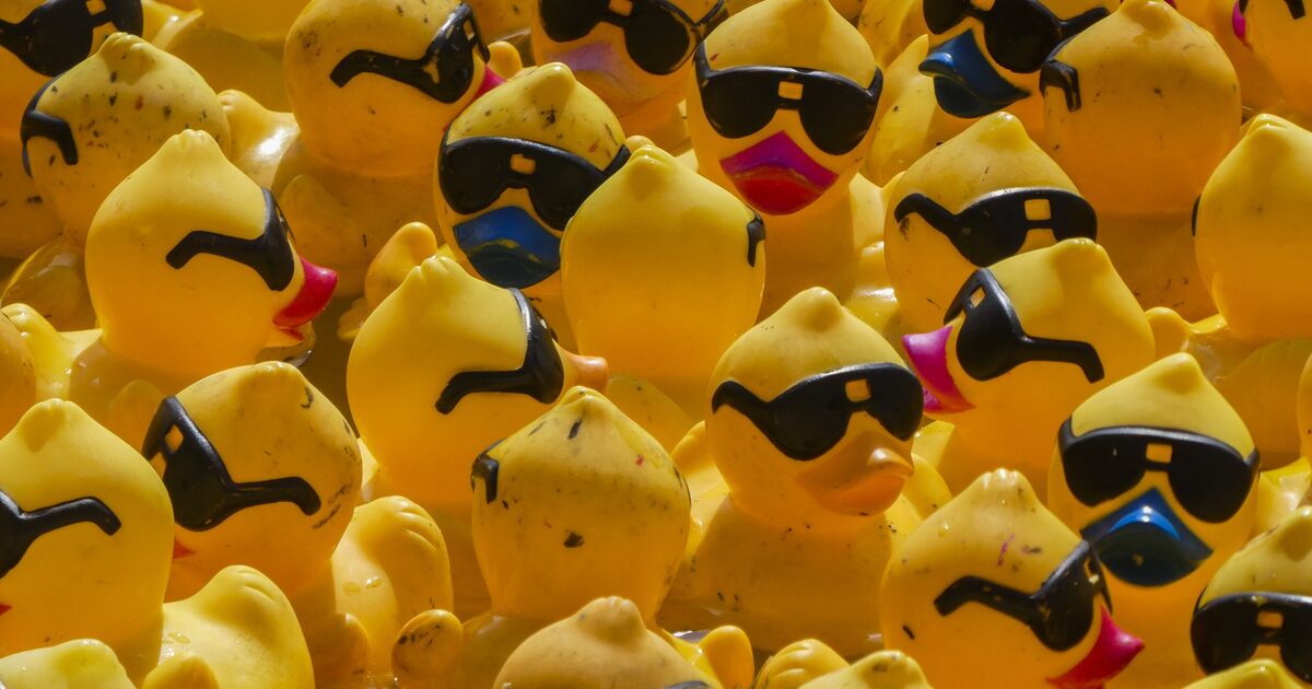 Duck Squad photo background