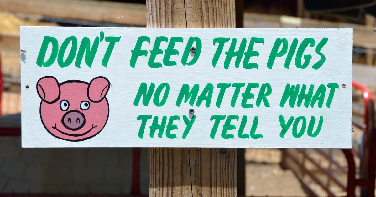 Petting Zoo Sign photo background